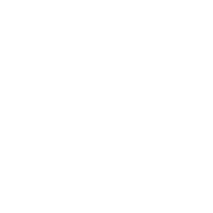 Freight Management Icon