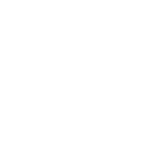Dovetail WMS/TMS Icon